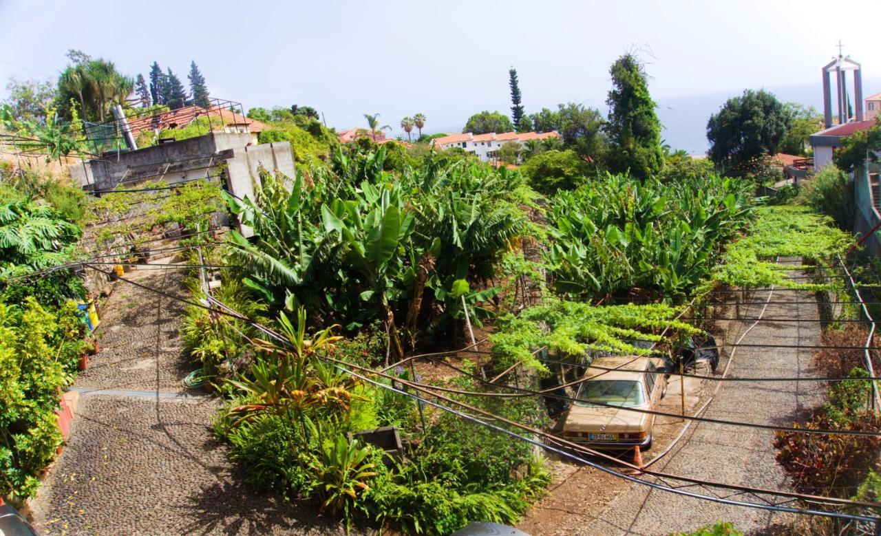 Villa Catanho Funchal  Exteriör bild