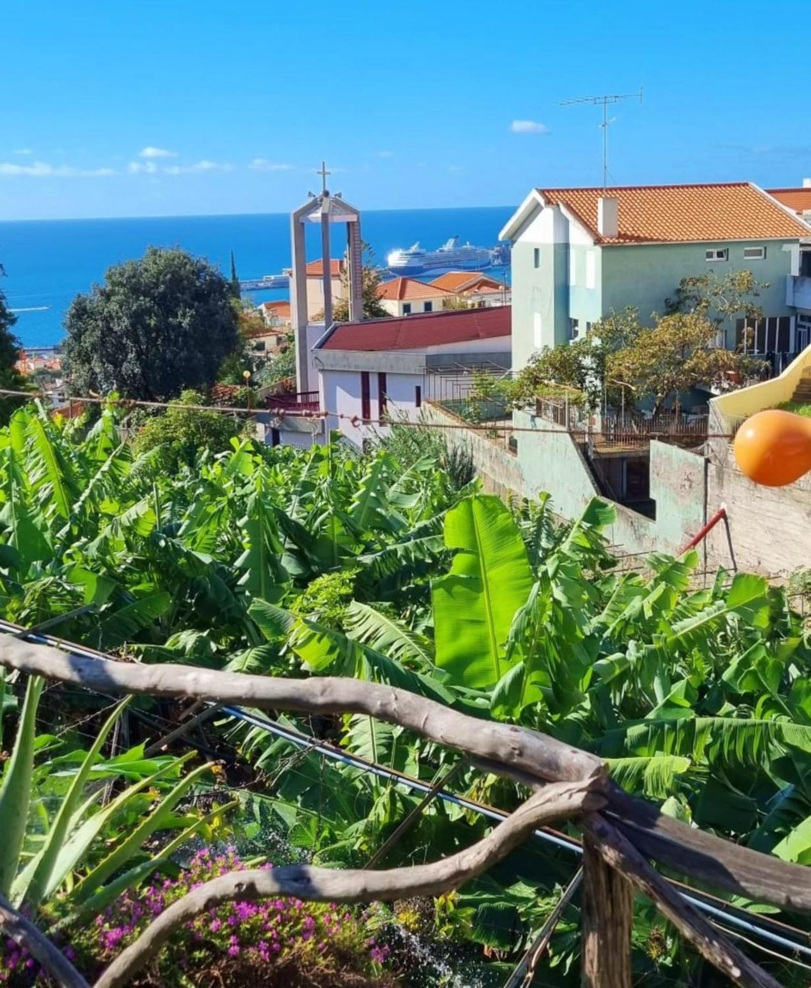 Villa Catanho Funchal  Exteriör bild