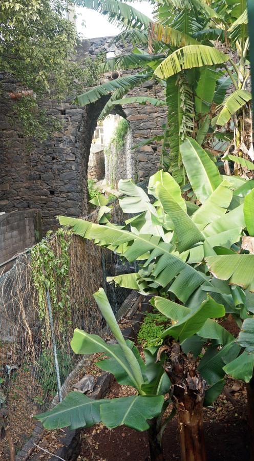Villa Catanho Funchal  Exteriör bild